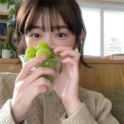 樟帮